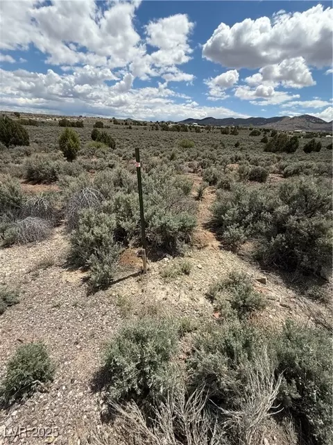 Hickory, Pioche, NV 89043 photo 4
