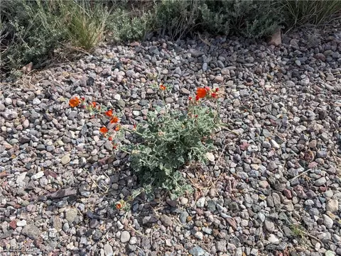 Bartolo, Pioche, NV 89043 photo 17