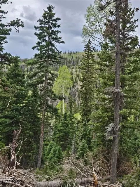 lot39 West Vlg, Beaver, UT 84713