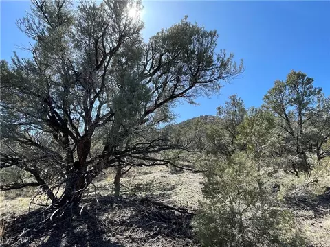 P-12 Butte Valley, Ely, NV 89301 photo 2
