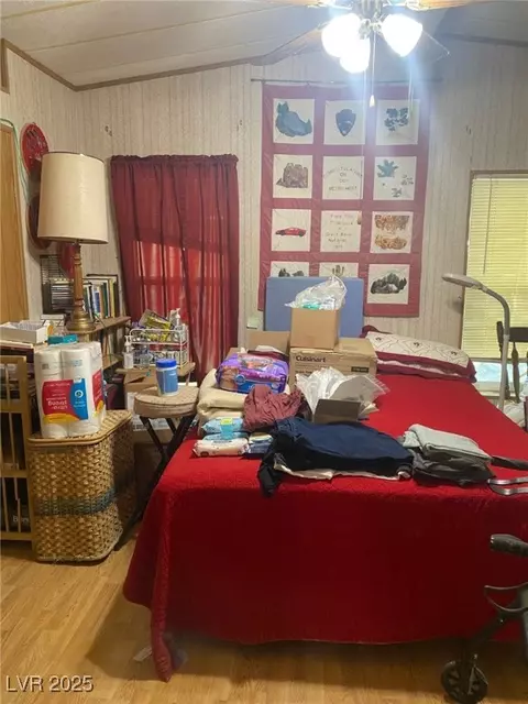 18 Pine St, Ruth, NV 89319 photo 10