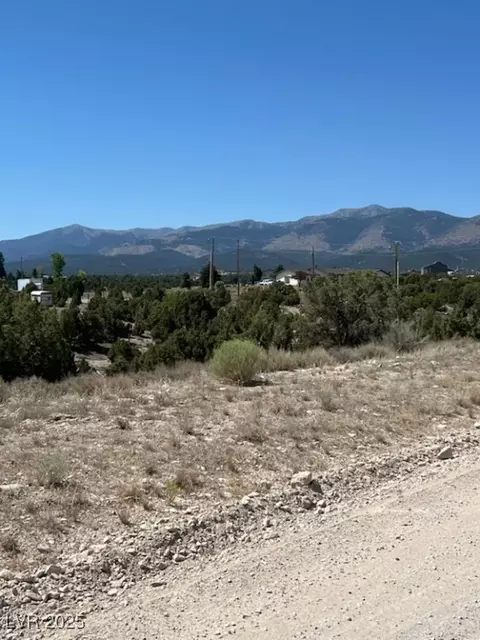 Pinyon Pine, Ely, NV 89301