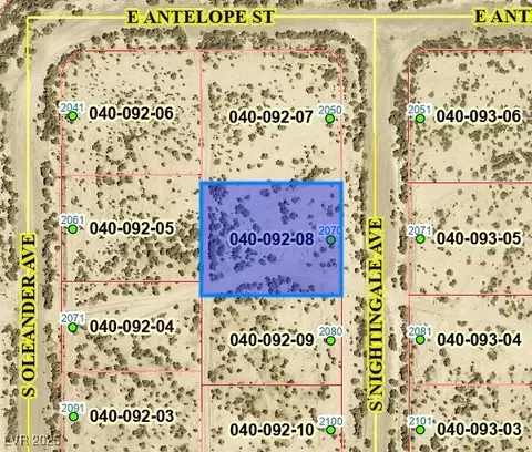 2070 S Nightingale Ave, Pahrump, NV 89048