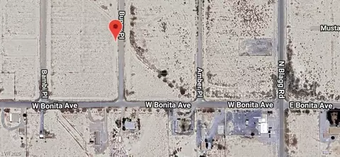 2810 N Bunny Pl, Pahrump, NV 89060