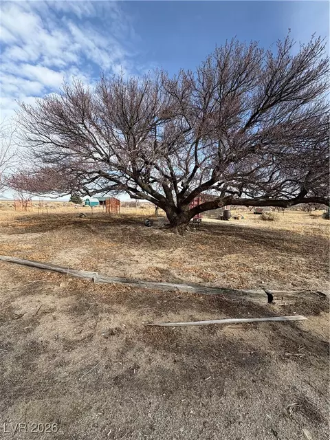 Exterior - 1260 S Baker Ave, Other, NV 89311 photo 7 of 12