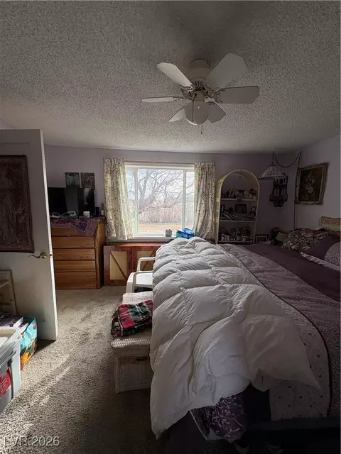 Bedroom - 1260 S Baker Ave, Other, NV 89311 photo 2 of 4