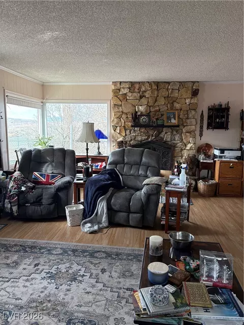 Living - 1260 S Baker Ave, Other, NV 89311 photo 1 of 1