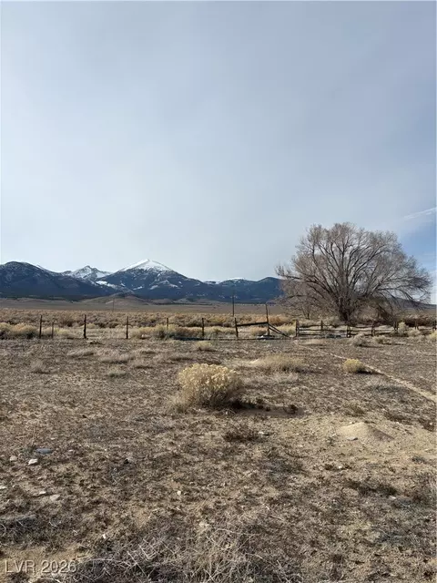 Other - 1260 S Baker Ave, Other, NV 89311 photo 9 of 16