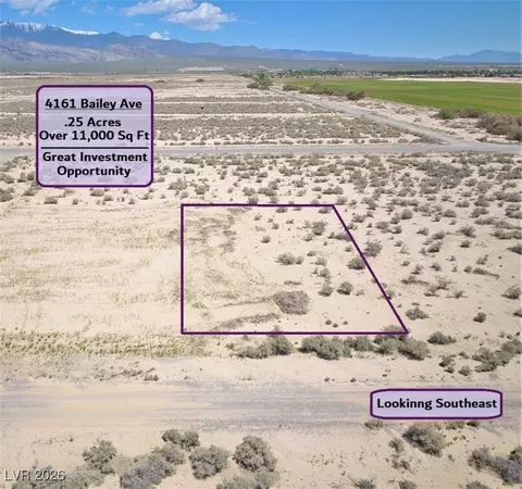 4161 S Bailey Ave, Pahrump, NV 89048