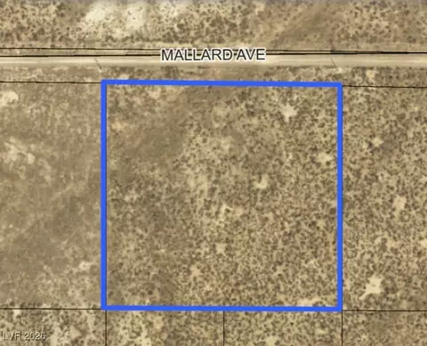 Mallard Avenue, Elko, NV 89801