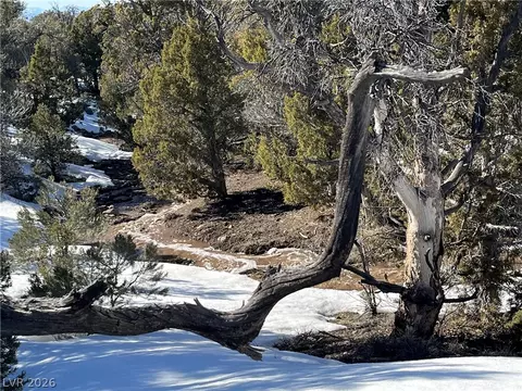 Lomprey, Pioche, NV 89043 photo 11