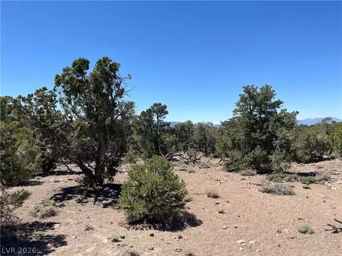 Lomprey, Pioche, NV 89043 photo 5