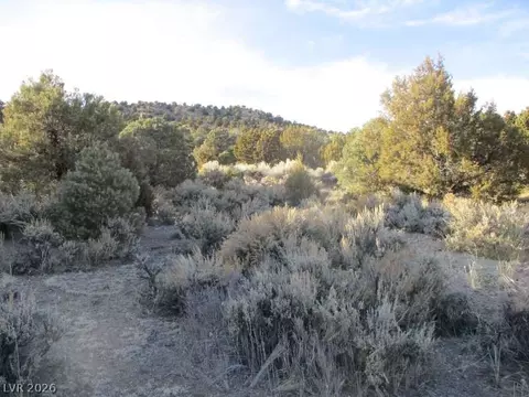 Nv Hwy 322, Pioche, NV 89043