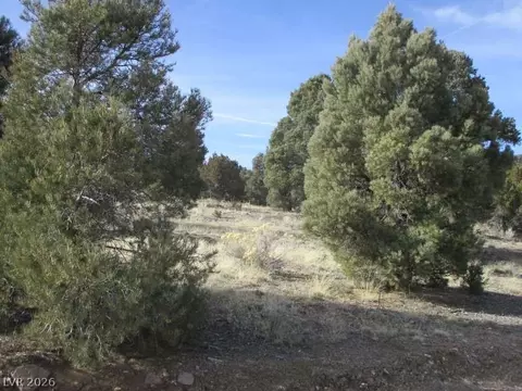 Nv Hwy 322, Pioche, NV 89043