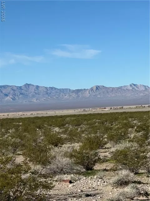 Unassigned, Sandy Valley, NV 89019