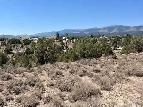 Pinyon Pine, Ely, NV 89301 photo 2