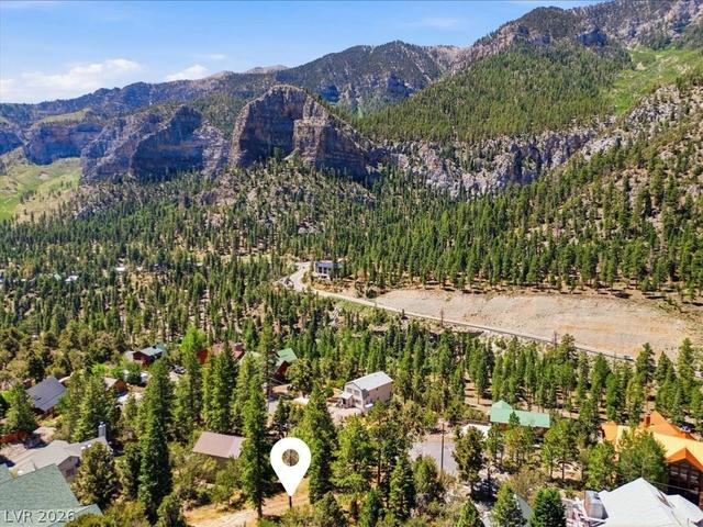 248 Crestview Dr, Mount Charleston, NV 89124