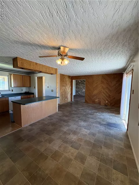 Other - 173 E Grant Ave, Ely, NV 89301 photo 2 of 11