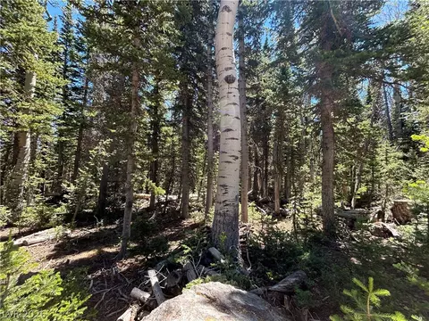 713 S Paintbrush St, Brian Head, UT 84719