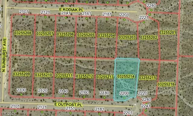 2200 Outpost Pl, Pahrump, NV 89060