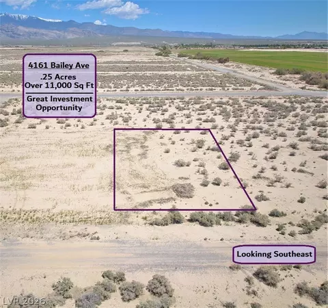4161 S Bailey Ave, Pahrump, NV 89048
