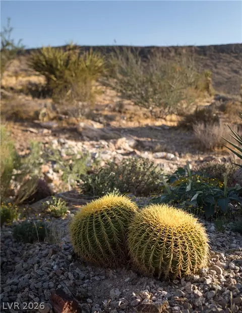 Other - 59 Arroyo Rd, Blue Diamond, NV 89004 photo 12 of 13