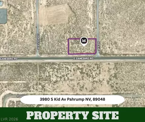 3980 S Kid Ave, Pahrump, NV 89048 photo 3