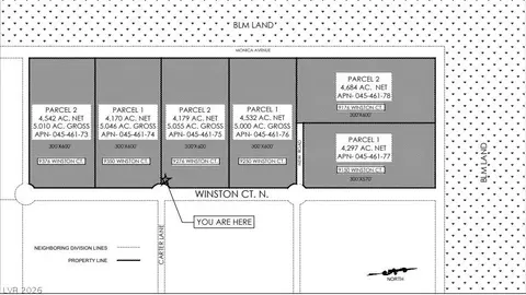 9250 Winston Ct, Pahrump, NV 89061