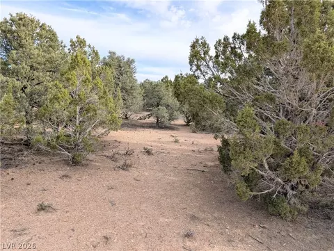 lot1 C Side Hill Pass, Pioche, NV 89043