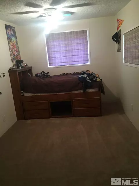 4750 Alcorn Rd, Fallon, NV 89406 photo 14
