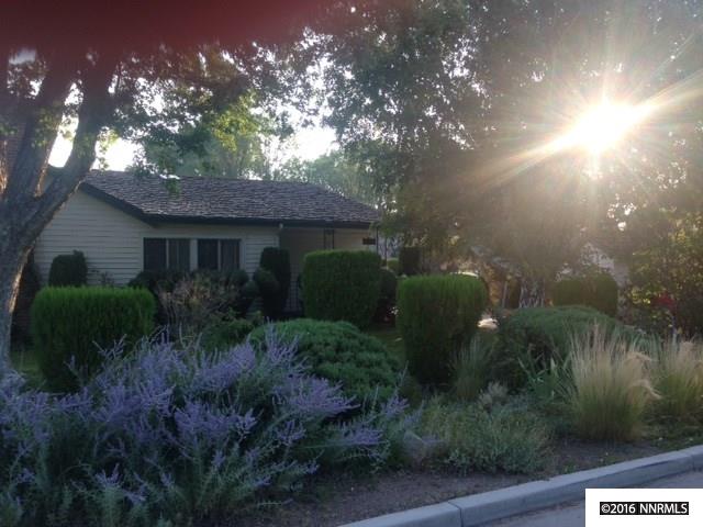 1645 County Rd, Minden, NV 89423 photo 1