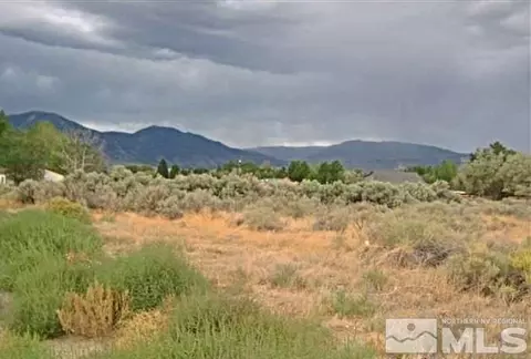 1368 Johnson, Minden, NV 89423