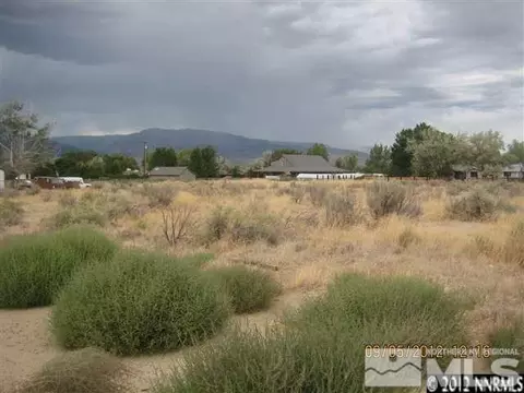 1372 Johnson Ln, Minden, NV 89423