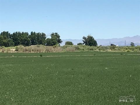 2400 Cushman Rd, Fallon, NV 89406 photo 1