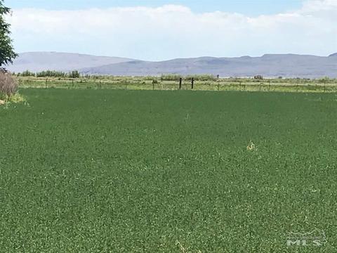 2400 Cushman Rd, Fallon, NV 89406 photo 3