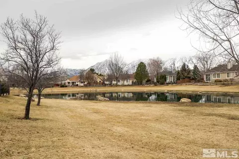 1772 Iris Ct, Minden, NV 89423 photo 36
