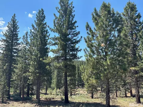 lot2 Raymond Vw, Markleeville, CA 96120