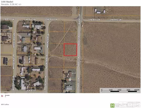 100 Nadel Ln, Yerington, NV 89447