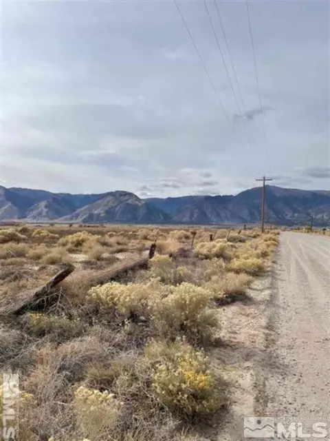 175 Jessen, Smith, NV 89444 photo 2