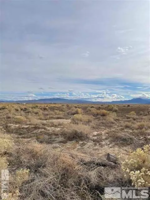 175 Jessen, Smith, NV 89444 photo 3