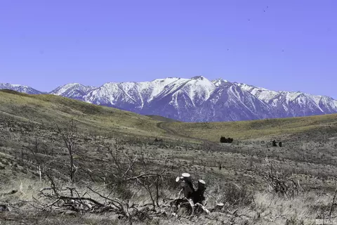 tbd Parcels At Pine Nut Creek Area, Gardnerville, NV 89410