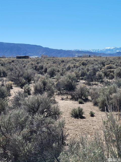 34 Acciari Rd, Smith, NV 89430 photo 1