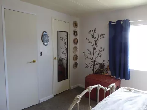 217 Los Padres Rd, Kingston, NV 89310 photo 12