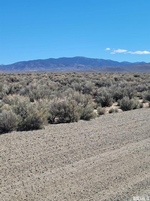 15 Acciari Rd, Smith, NV 89430 photo 1