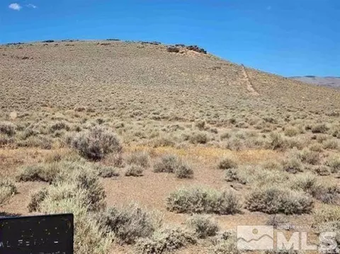 4275 Bosler Way, Wellington, NV 89444