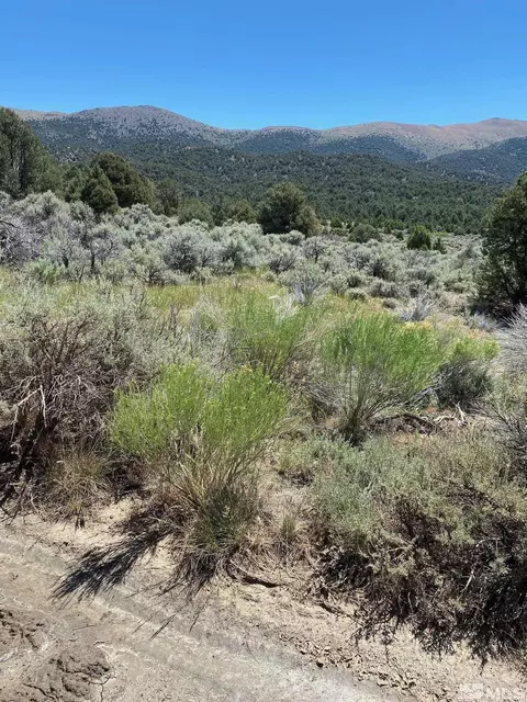 tbd El Dorado Cyn, Carson City, NV 89701