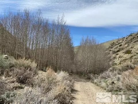 tbd Minnehaha Cyn, Wellington, NV 89444