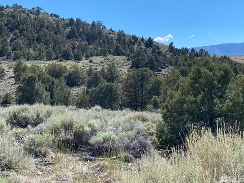tbd Pine Nut Trail Trl #70, Gardnerville, NV 89410
