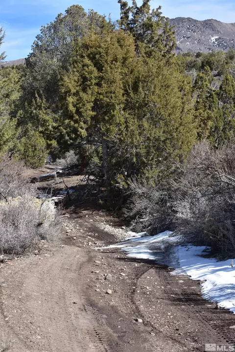 tbd S Of Buckeye Rnch, Gardnerville, NV 89410