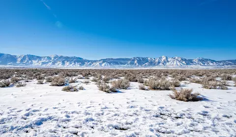 2170 E Valley Rd, Minden, NV 89423 photo 2